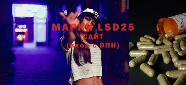ГАЛЛЮЦИНОГЕННЫЕ ГРИБЫ Алзамай