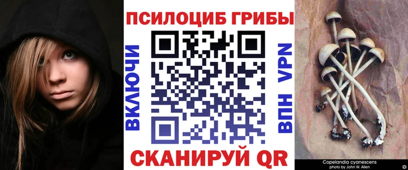 купить наркотик  Безенчук  kraken маркетплейс  Псилоцибиновые грибы прущие грибы 